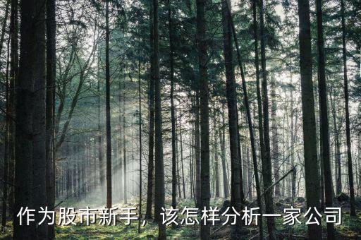 作為股市新手，該怎樣分析一家公司