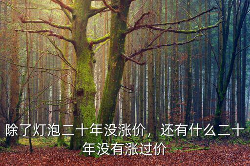 除了燈泡二十年沒漲價，還有什么二十年沒有漲過價
