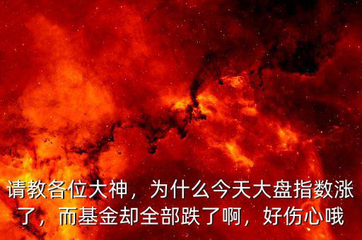 請教各位大神，為什么今天大盤指數(shù)漲了，而基金卻全部跌了啊，好傷心哦