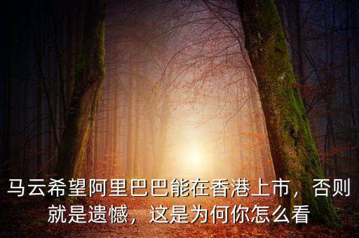馬云希望阿里巴巴能在香港上市，否則就是遺憾，這是為何你怎么看