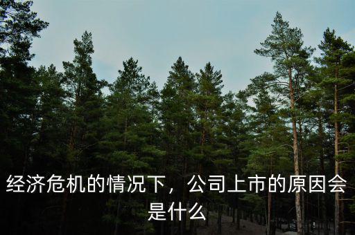 經(jīng)濟危機的情況下，公司上市的原因會是什么