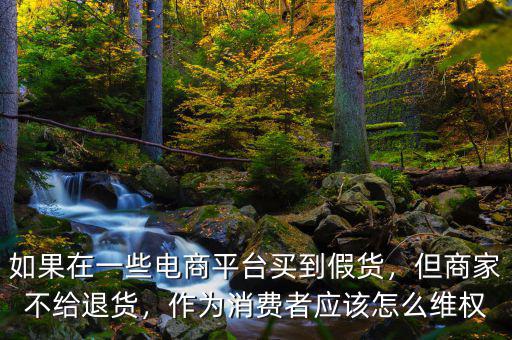 如果在一些電商平臺(tái)買(mǎi)到假貨，但商家不給退貨，作為消費(fèi)者應(yīng)該怎么維權(quán)