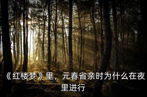 《紅樓夢》里，元春省親時為什么在夜里進行
