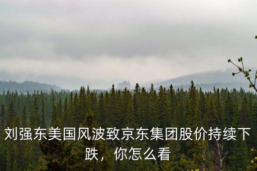 劉強東美國風波致京東集團股價持續(xù)下跌，你怎么看