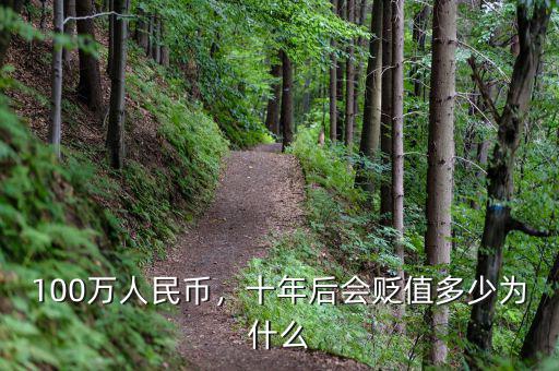 100萬人民幣，十年后會貶值多少為什么