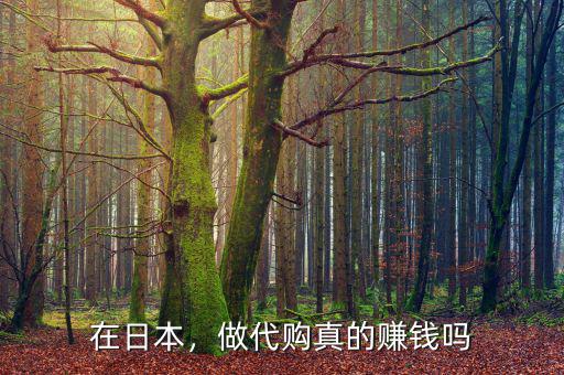 怎么做日本代購(gòu)生意,做代購(gòu)真的賺錢(qián)嗎