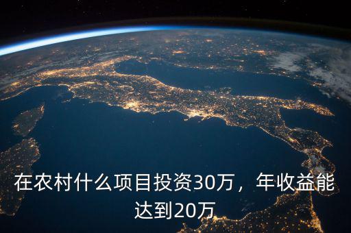 在農村什么項目投資30萬，年收益能達到20萬