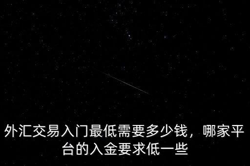 外匯交易入門最低需要多少錢，哪家平臺(tái)的入金要求低一些