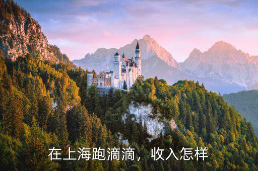 在上海跑滴滴，收入怎樣