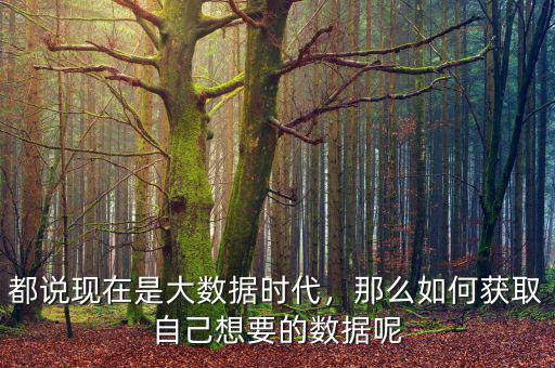 大數據怎么獲得,都說現在是大數據時代