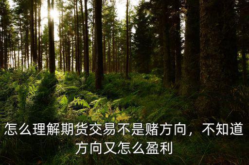 怎么理解期貨交易不是賭方向，不知道方向又怎么盈利