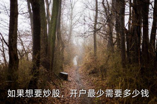 如果想要炒股，開戶最少需要多少錢