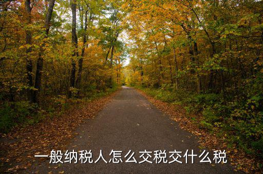 稅友可以繳納什么稅，一般納稅人應(yīng)該交什么稅稅率是多少啊