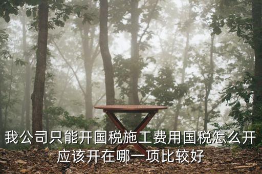 我公司只能開國(guó)稅施工費(fèi)用國(guó)稅怎么開應(yīng)該開在哪一項(xiàng)比較好