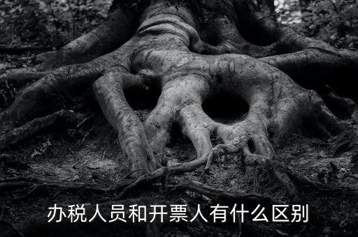 辦稅人員是什么，辦稅人員和開(kāi)票人有什么區(qū)別