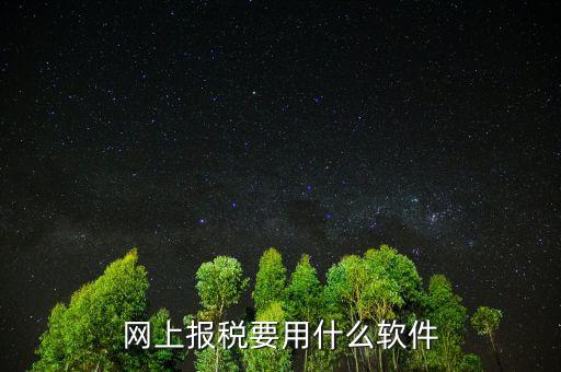 網(wǎng)上報稅下載什么軟件，深圳etax網(wǎng)上報稅軟件哪里下載