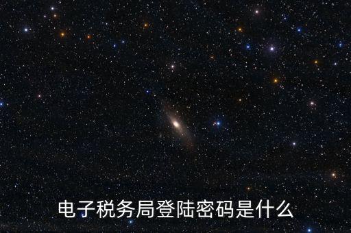 納稅人登路的密碼是什么，國稅第一次網(wǎng)上申報(bào)的登陸密碼是什么