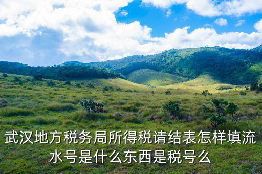 地稅流水號是什么，納稅人流水號是什么