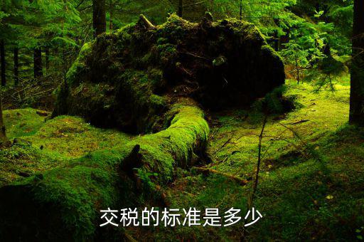 國家收稅的標(biāo)準(zhǔn)是什么，交稅的標(biāo)準(zhǔn)是多少