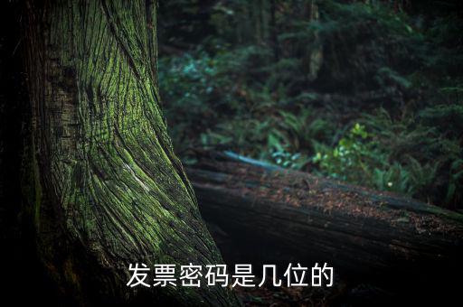 普通發(fā)票密碼是什么，國稅局發(fā)票軟件里用戶代碼和密碼是什么
