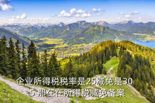 增值稅優(yōu)惠什么備案表，增值稅減免稅備案需要哪些資料