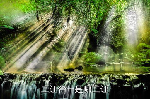 三證合一三證號是什么，三證合一是哪三證