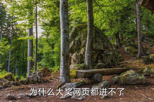 航天金穗網(wǎng)為什么進(jìn)不去網(wǎng)頁(yè)，WW3ZHONGCN這個(gè)網(wǎng)站怎么進(jìn)不去了呢