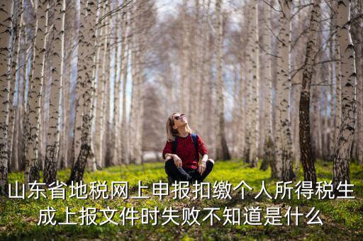山東地稅網(wǎng)為什么沒法報稅，山東地稅網(wǎng)上申報系統(tǒng)網(wǎng)頁無法訪問是什么原因