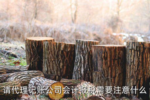 給純地稅做賬注意什么，繳的地稅怎么做帳
