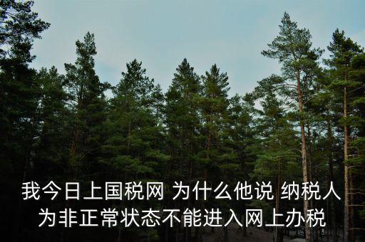 我今日上國稅網(wǎng) 為什么他說 納稅人為非正常狀態(tài)不能進(jìn)入網(wǎng)上辦稅
