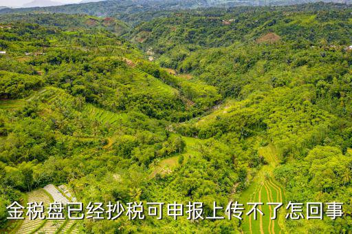 金稅申報發(fā)送不了是什么原因，金稅盤已經(jīng)抄稅可申報上傳不了怎回事