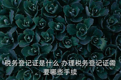 地稅局登記是什么，地稅辦理稅務(wù)登記需要哪些資料