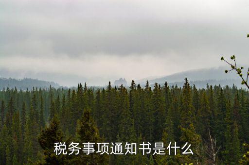 稅務(wù)事項(xiàng)通知書是什么