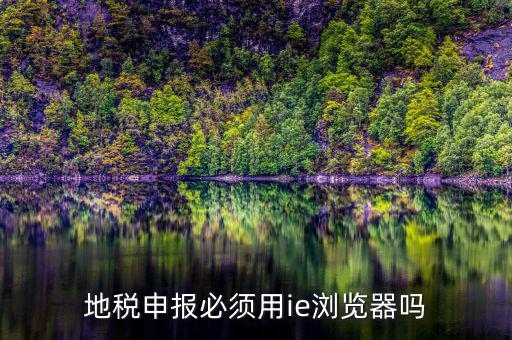 用什么瀏覽器申報(bào)山東地稅，地稅申報(bào)必須用ie瀏覽器嗎