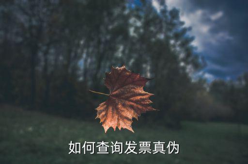查驗(yàn)發(fā)票需要什么信息，發(fā)票怎么去稅務(wù)局驗(yàn)證需要什么資料