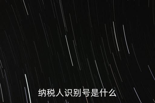 電子稅務局納稅人識別號是什么，納稅人識別號是什么