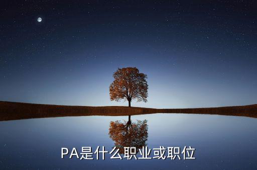 河南省國稅局陳紅偉什么職務(wù)，PA是什么職業(yè)或職位