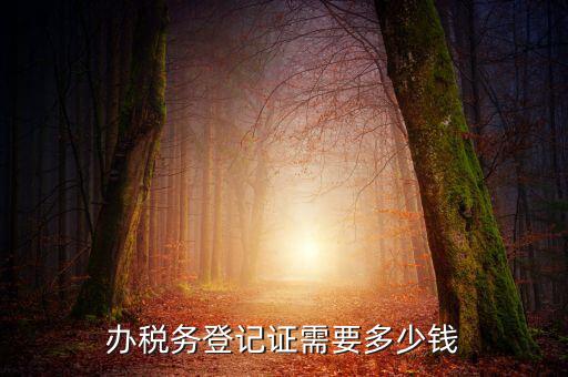 稅務局登記需要什么手續(xù)費，辦稅務登記證需要多少錢