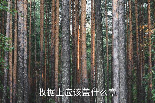 收據(jù)應(yīng)蓋什么章，收據(jù)蓋什么章有規(guī)定嗎