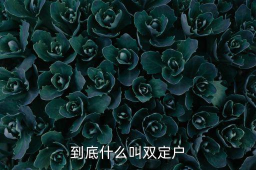什么是雙定戶，雙翅一一翻雙眉什么雙眼什么