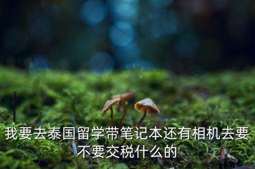 泰國(guó)什么人需要納稅，我要去泰國(guó)留學(xué)帶筆記本還有相機(jī)去要不要交稅什么的