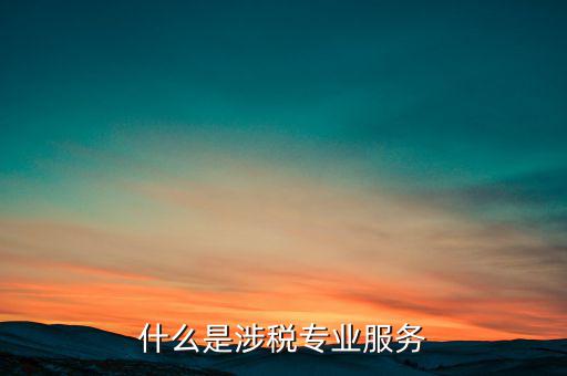 涉稅專業(yè)服務(wù)機構(gòu) 包括什么，什么是涉稅專業(yè)服務(wù)