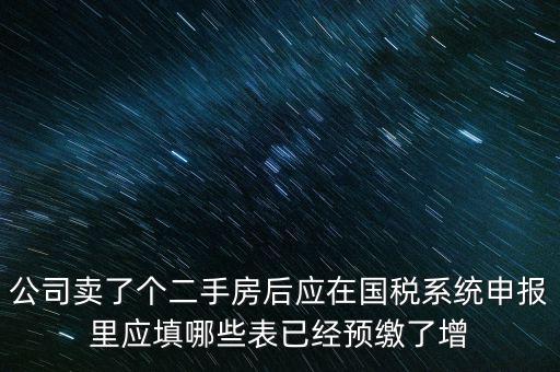 公司賣了個二手房后應(yīng)在國稅系統(tǒng)申報里應(yīng)填哪些表已經(jīng)預繳了增