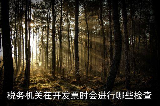 國稅專業(yè)發(fā)票核查是什么，國稅發(fā)短信讓帶公章去稅務(wù)局核查發(fā)票是什么意思急急急
