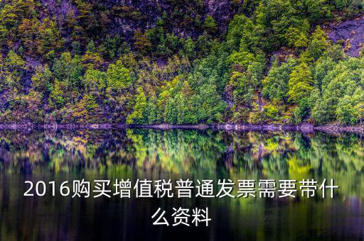 2016購(gòu)買(mǎi)增值稅普通發(fā)票需要帶什么資料