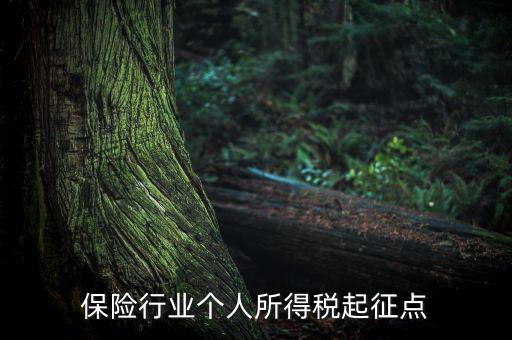 保險行業(yè)入交什么稅，保險行業(yè)個人所得稅起征點