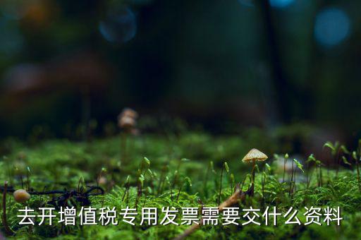 開專票需要對(duì)方什么資料，開具增值稅專用發(fā)票需要購買方提交什么資料稅屋