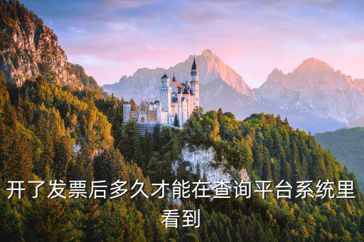 勾選平臺什么時候可以查到發(fā)票，已經(jīng)開具的專用發(fā)票多久才能在勾選平臺中查到