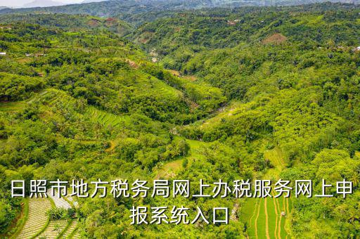 日照?qǐng)?bào)稅的網(wǎng)址是什么意思，網(wǎng)上報(bào)稅在哪個(gè)網(wǎng)站