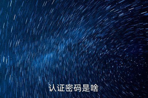 網(wǎng)上認(rèn)證的密碼是什么意思啊，市民身份證手機(jī)認(rèn)證服務(wù)密碼是什么意思在線等急